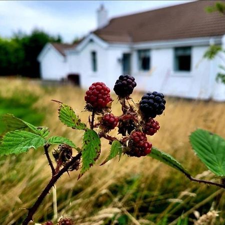 Cathleen'S Cottage Newry Luaran gambar