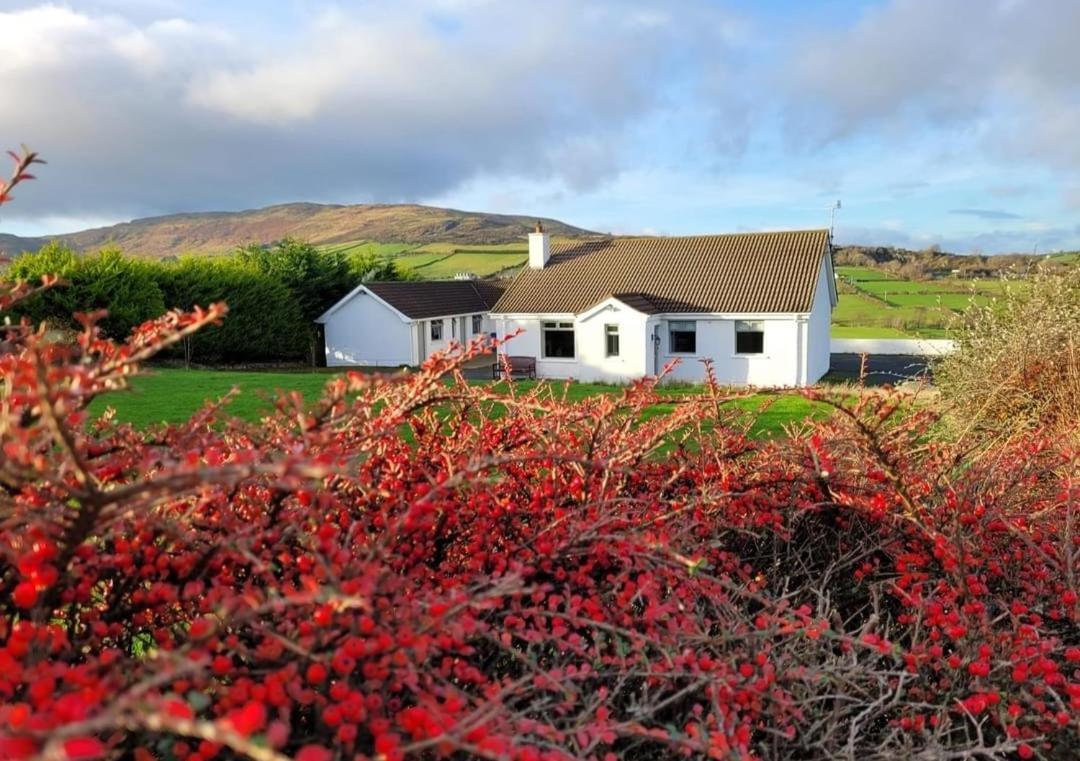 Cathleen'S Cottage Newry Luaran gambar